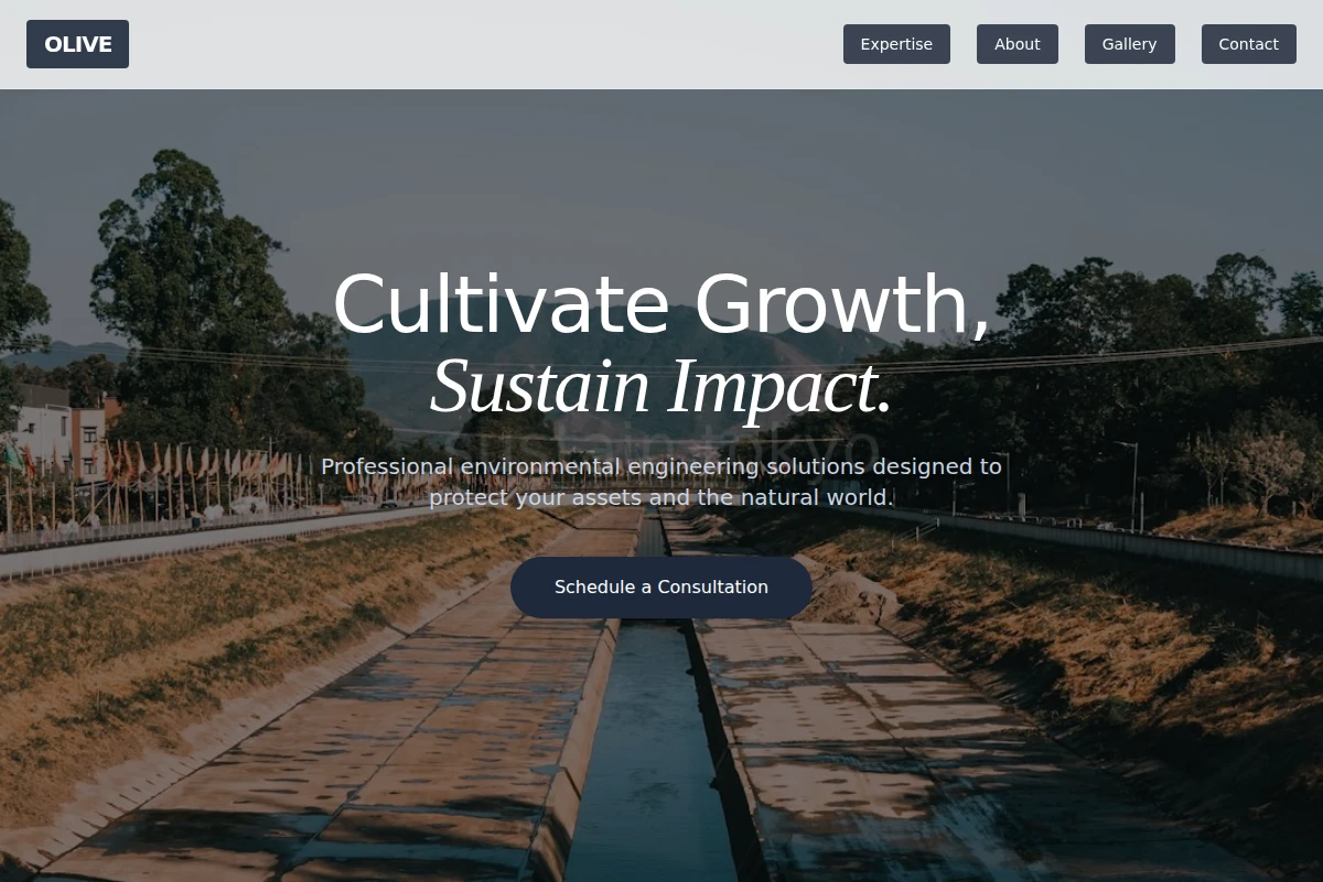 Olive Environmental Engineering