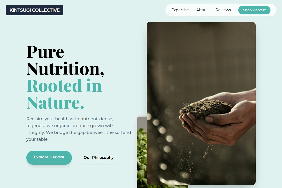 Reclaim Organic Food