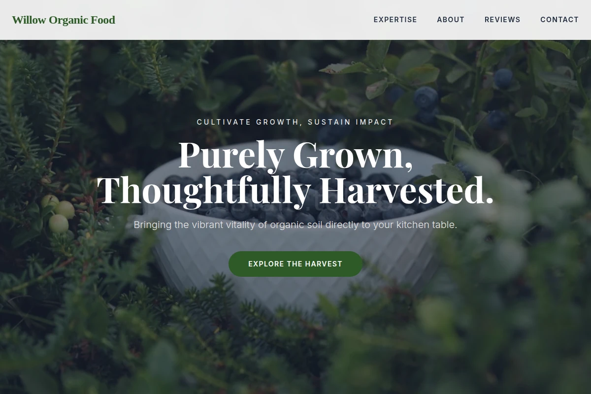 Willow Organic Food