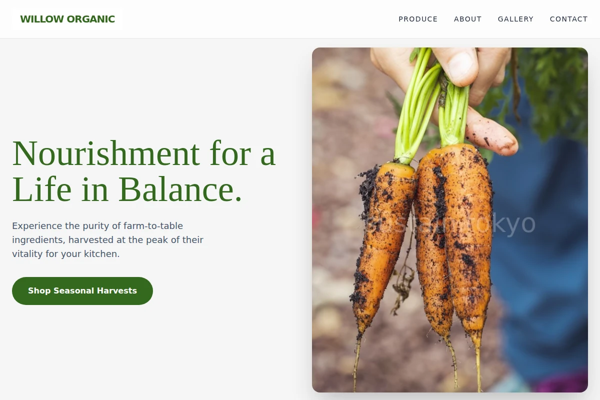 Willow Organic Food