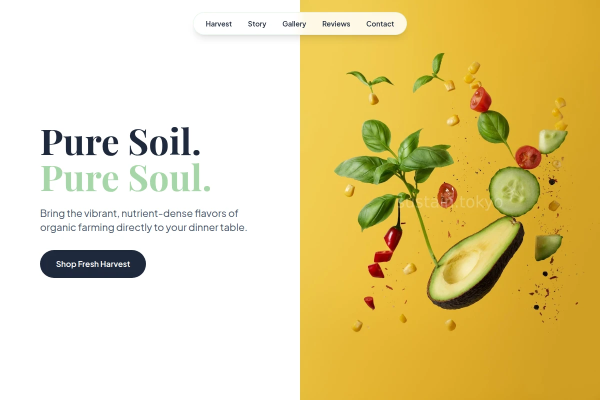 Bloom Organic Food