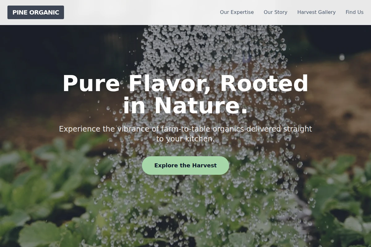 Pine Organic Food