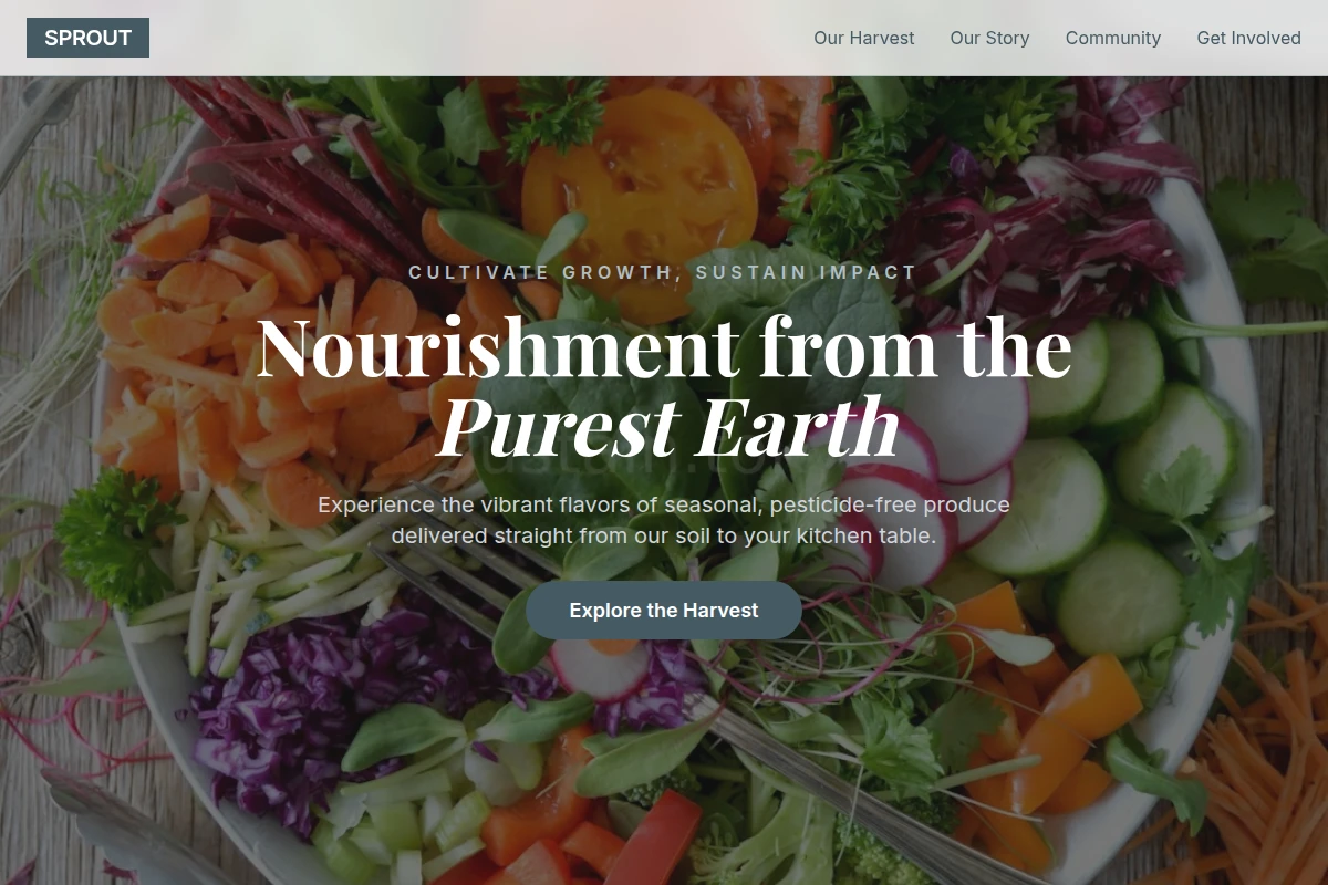 Sprout Organic Food