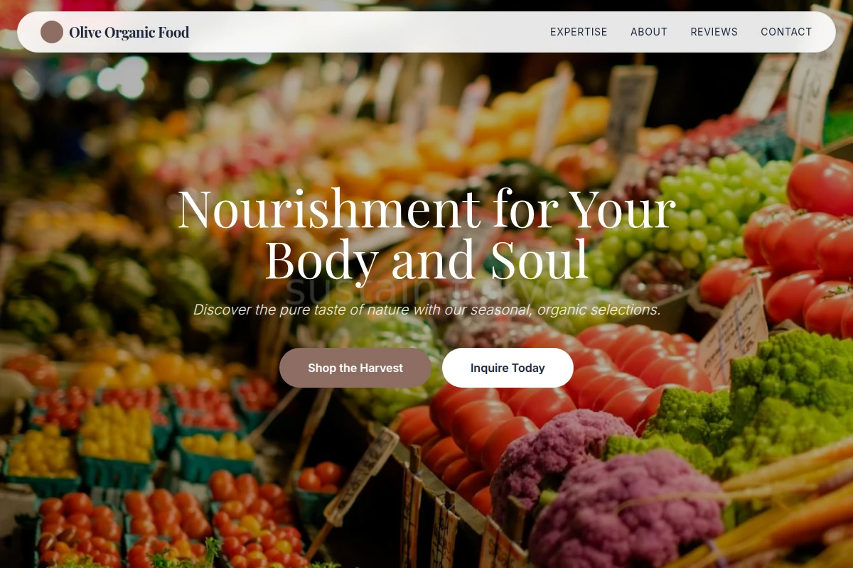 Olive Organic Food
