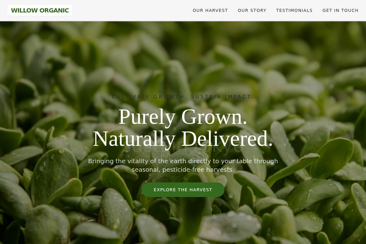 Willow Organic Food