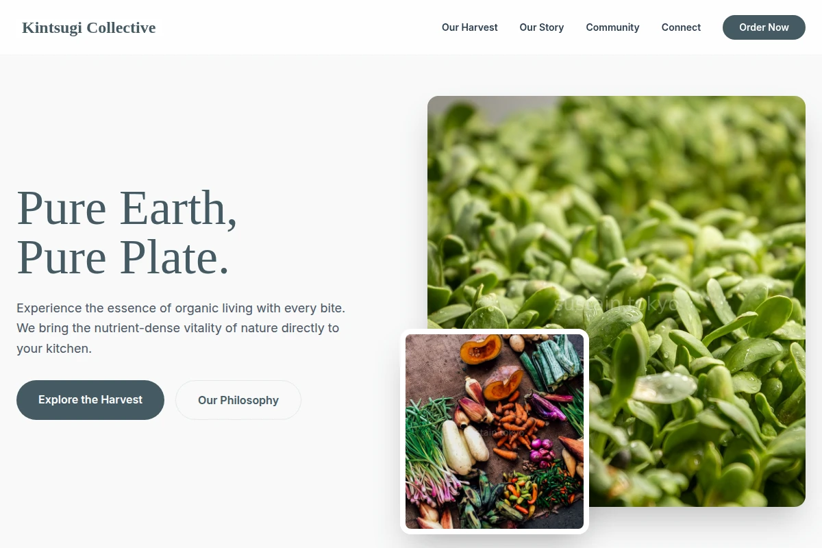 Stone Organic Food
