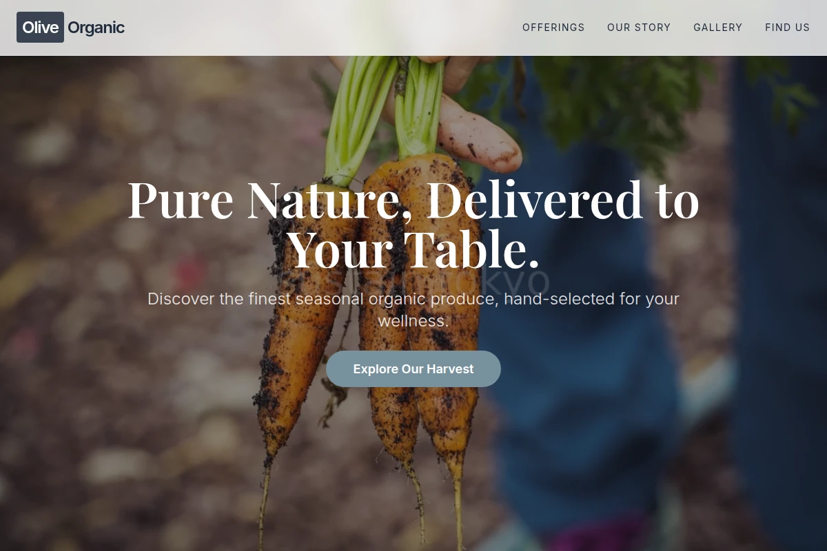 Olive Organic Food