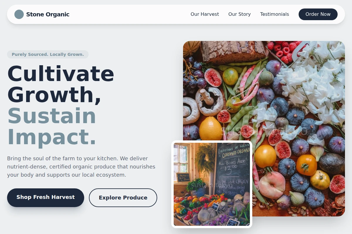 Stone Organic Food