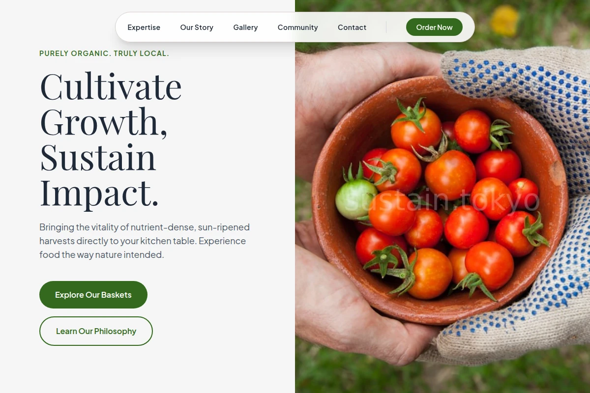 Canopy Organic Food